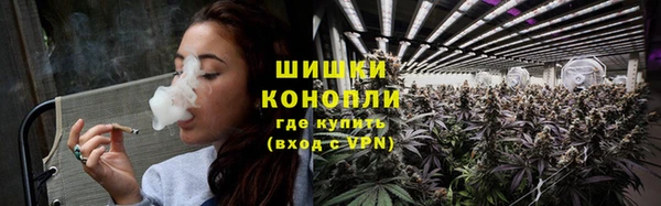 сатива Балабаново