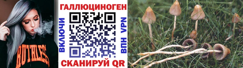 Галлюциногенные грибы MAGIC MUSHROOMS  где можно купить   ОМГ ОМГ ONION  Краснообск 
